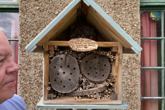 Bee-Hotel-2