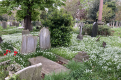 Eco-Church-flowers-in-spring