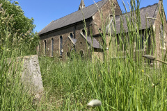 Eco-Church-long-grass-and-HT
